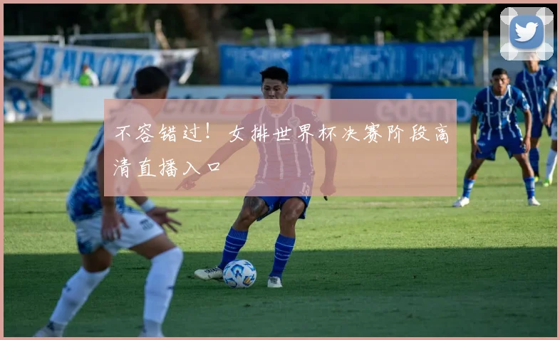 不容错过！女排世界杯决赛阶段高清直播入口