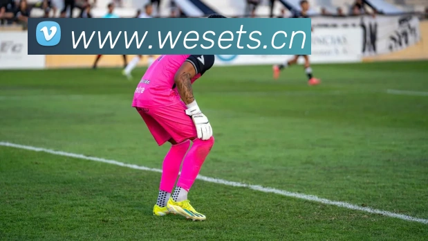 爱游戏登录网站平台生态图